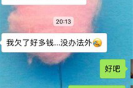 催收员有资格上门吗？法律解读与案例分析